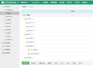 深入講解siteserver cms 演示建站全過(guò)程 一